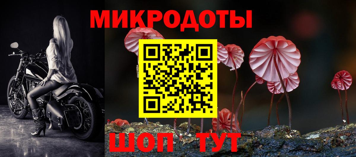 Псилоцибиновые грибы Psilocybine cubensis  Вход с VPN  Зеленодольск 